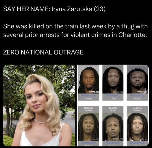 Tragic Stabbing on Charlotte Light Rail Claims Life of Ukrainian Immigrant Iryna Zarutska