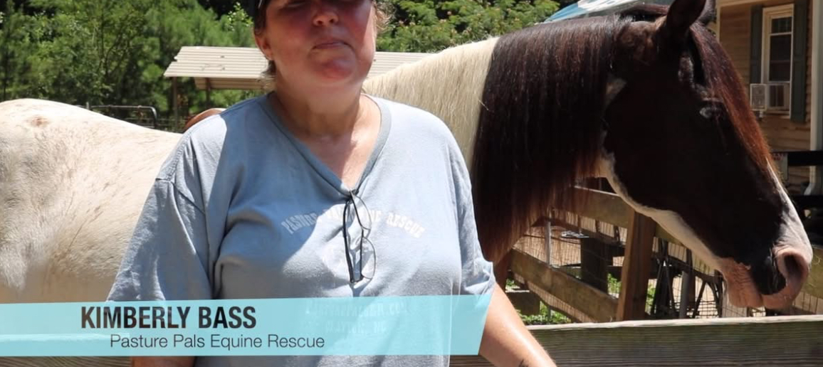 Pasture Pals Equine Rescue Unable to Attend Community Day Following Founder’s Hospitalization