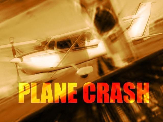 Twin-Engine Aircraft Crashes in Nelson Road Area, Pilot and Dog Killed